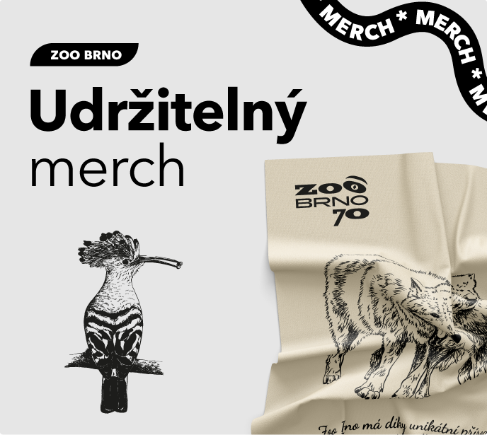 Udržitelný merch